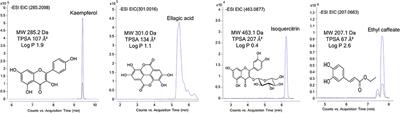 Blood–Brain Barrier Permeability Study of Potential Neuroprotective Compounds Recovered From Plants and Agri-Food by-Products